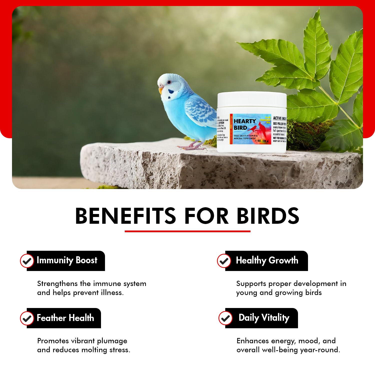 Morning Bird Hearty Bird 1 oz - Daily Multivitamin Powder for Birds - Energy Support with Immune Booster & Wellness - Protein Su